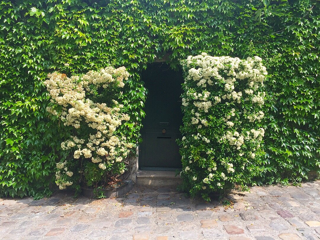Flowered Portal