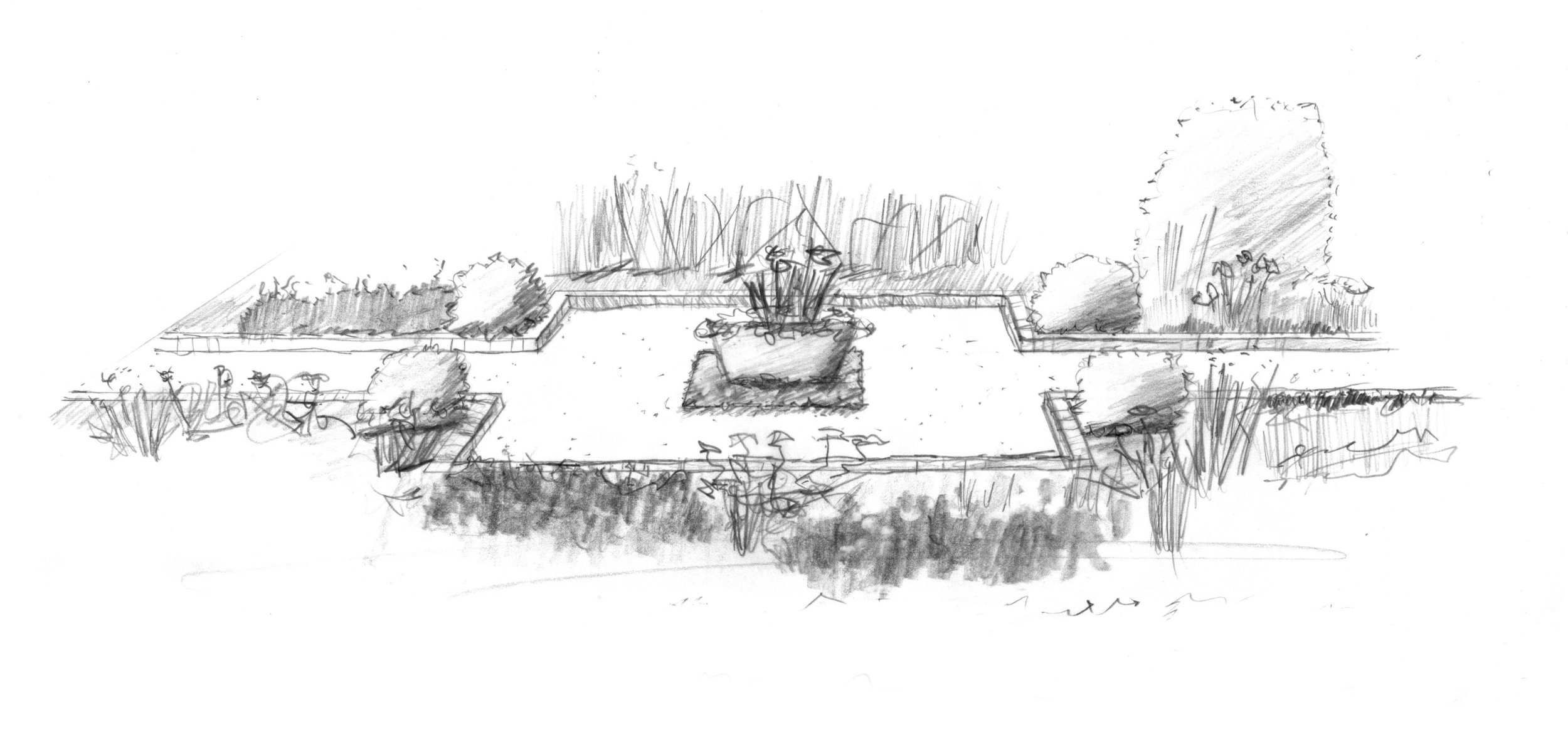 nashville residence | front yard sketch