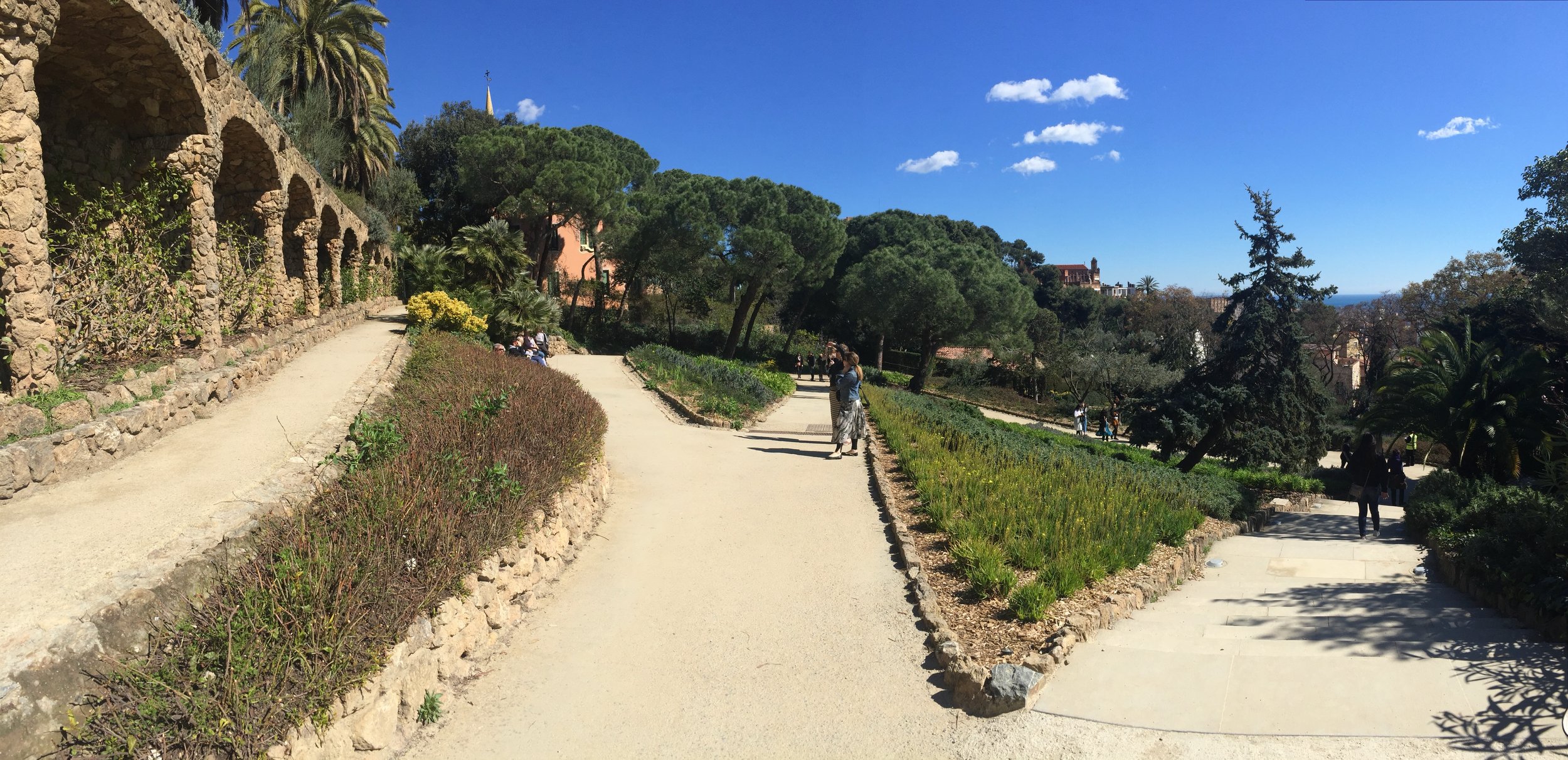 diverging paths