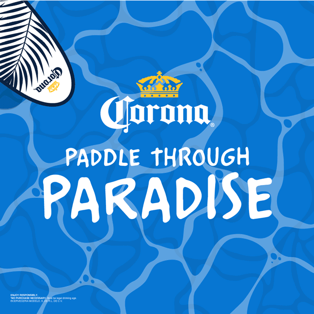 Corona_V2_B.gif