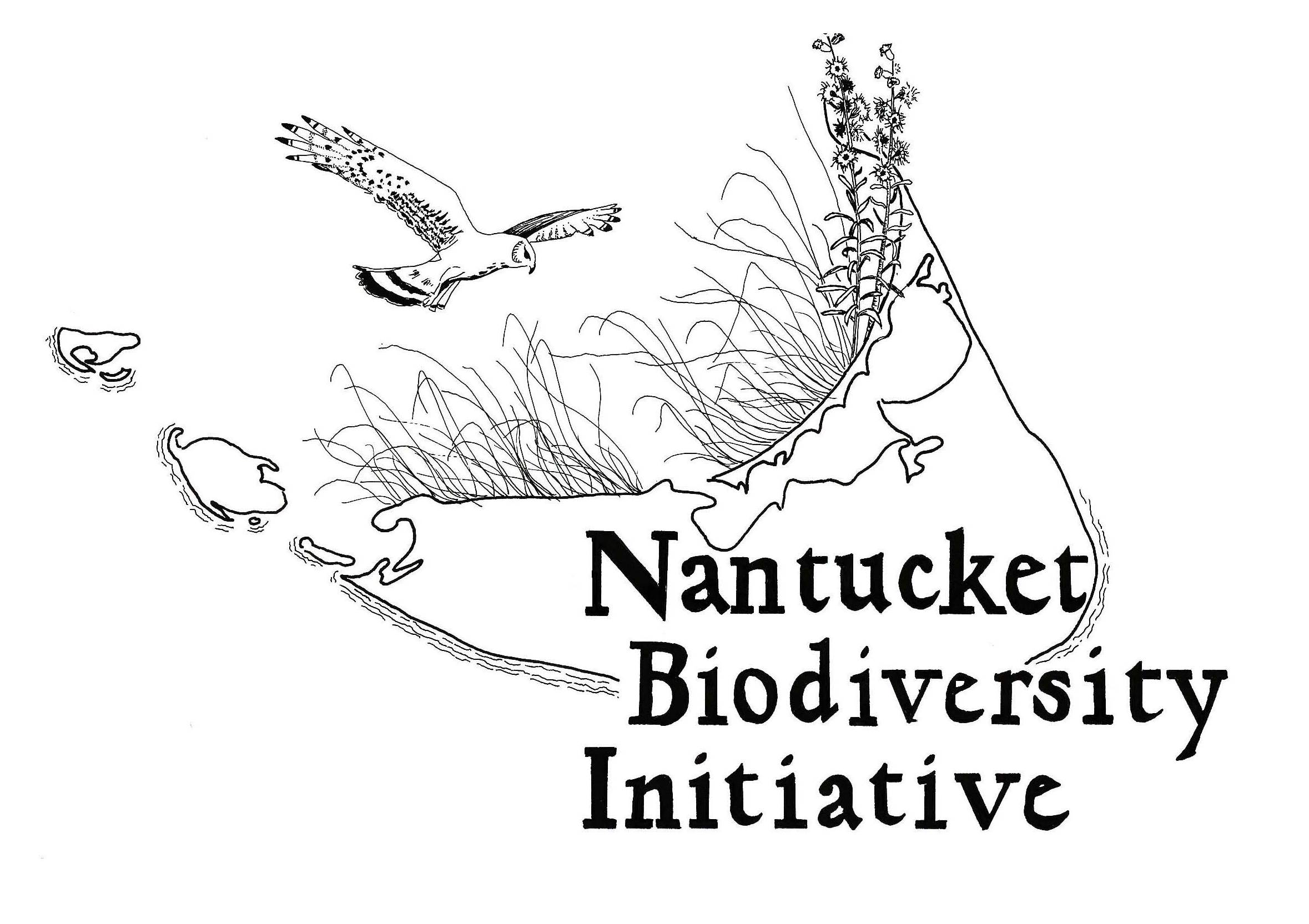Nantucket Biodiversity Initiative Logo with white border.jpg