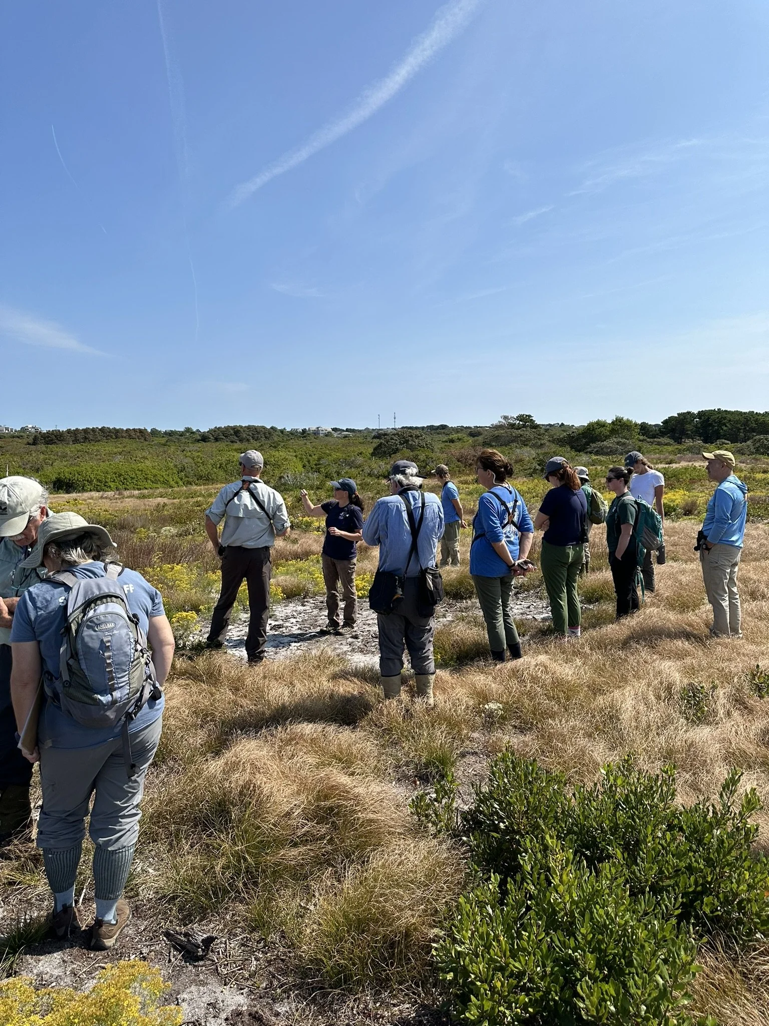 Linda Loring Nature Foundation Restoration Bioblitz at 90 Eel Point Road