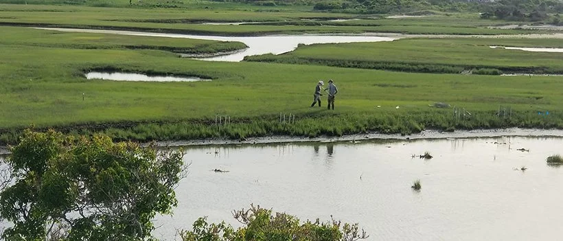 Marsh Creek Life: Gradients of Biodiversity 