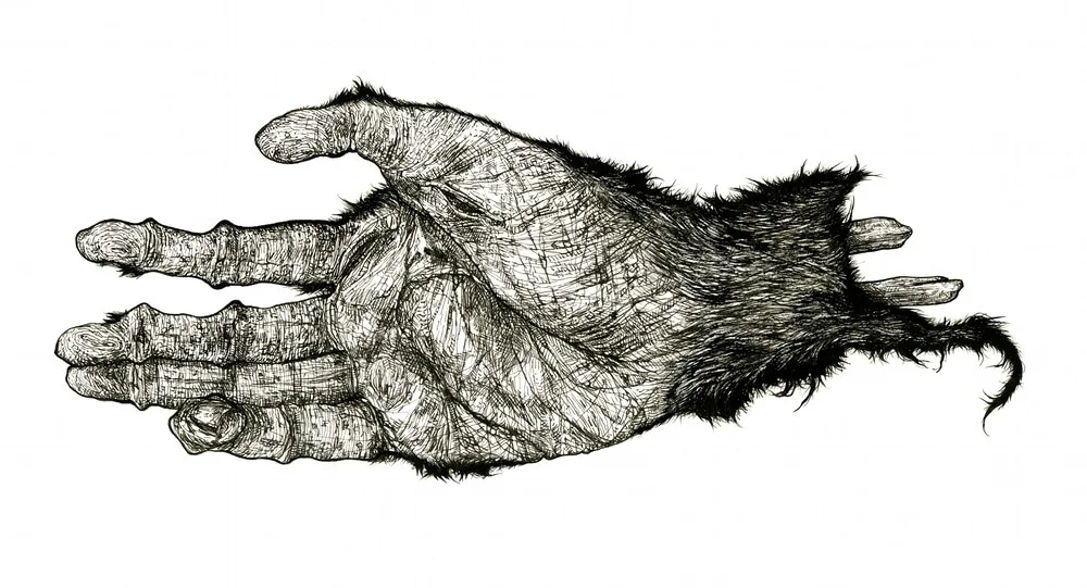 Image: mrsclinger.weebly.com