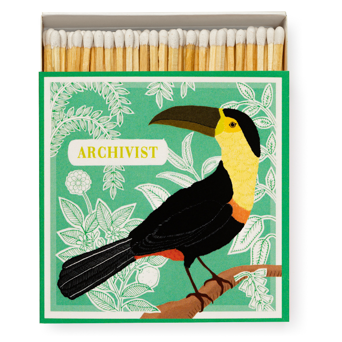 winterbearhome-archivistmatches-toucan.PNG