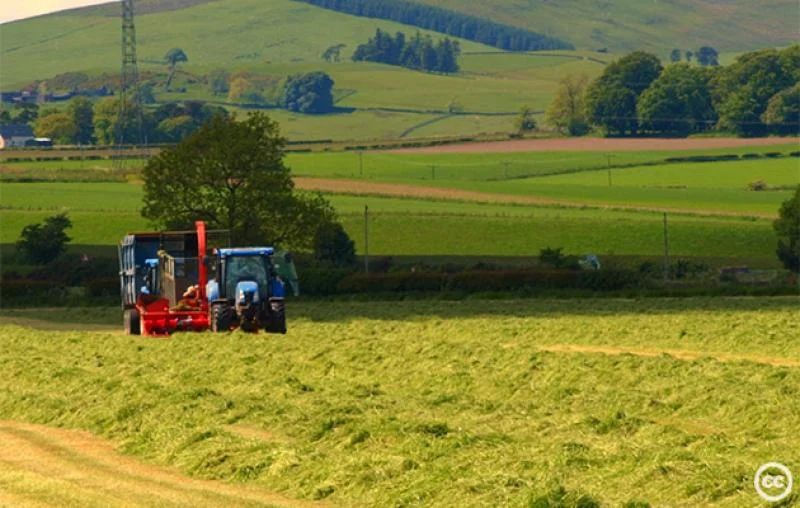 How to Protect Our Country's Farmland