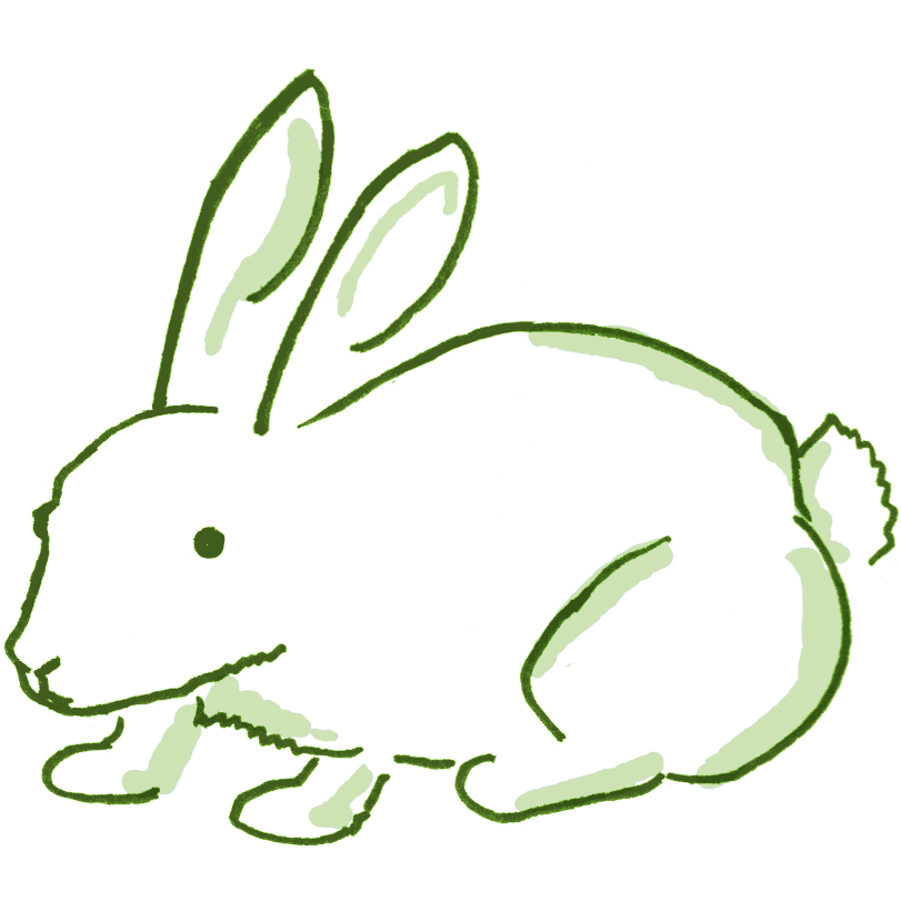 Green Rabbits
