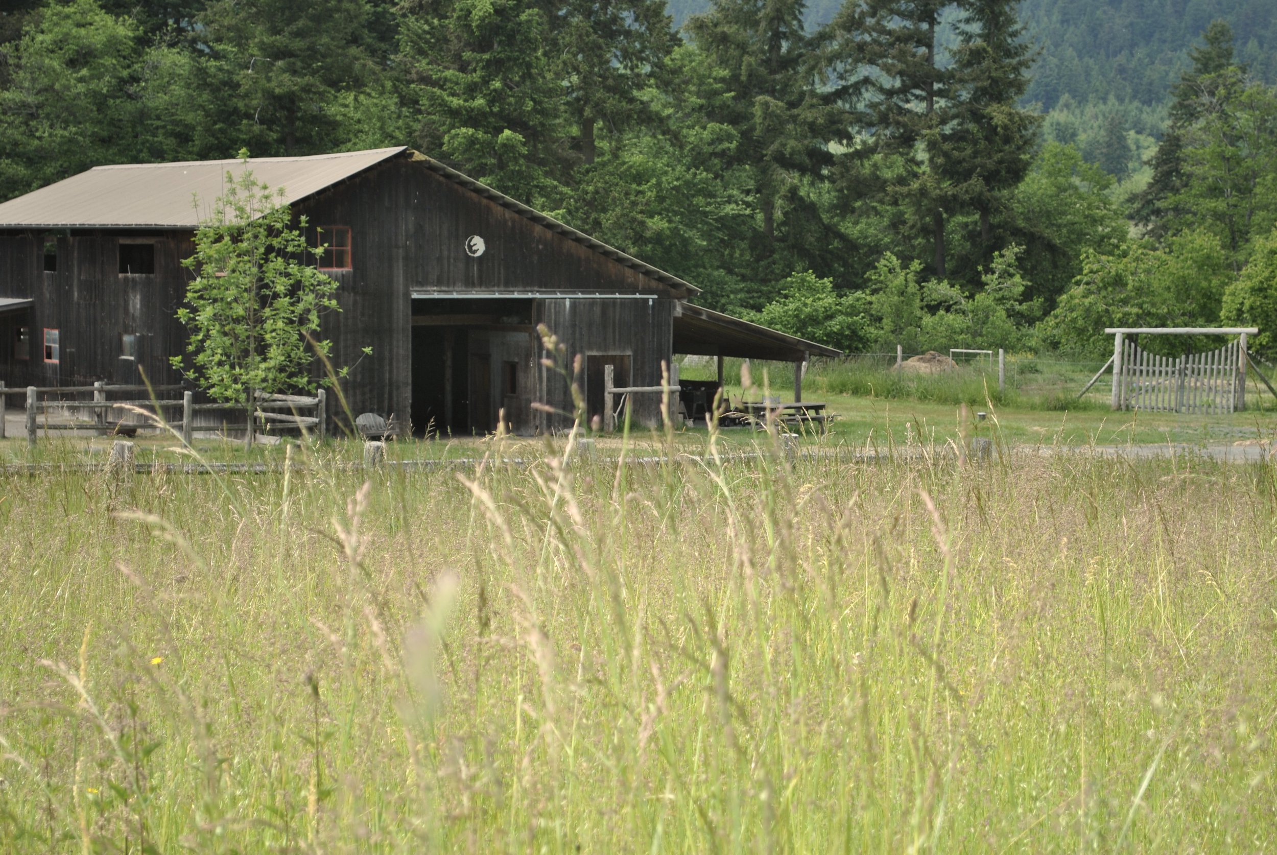 barn.field3 copy 2.jpeg