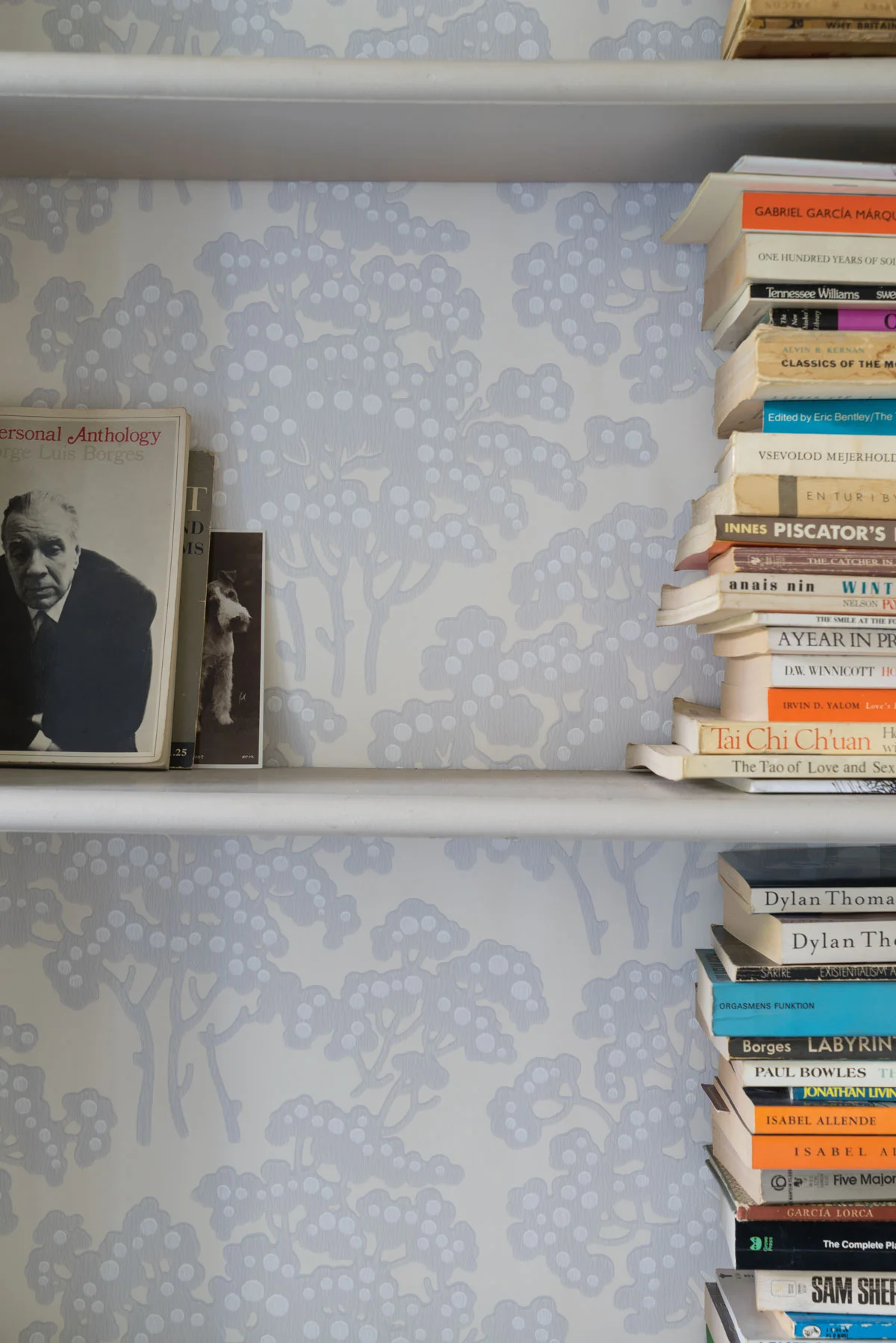 hornbeam bookcase.jpg