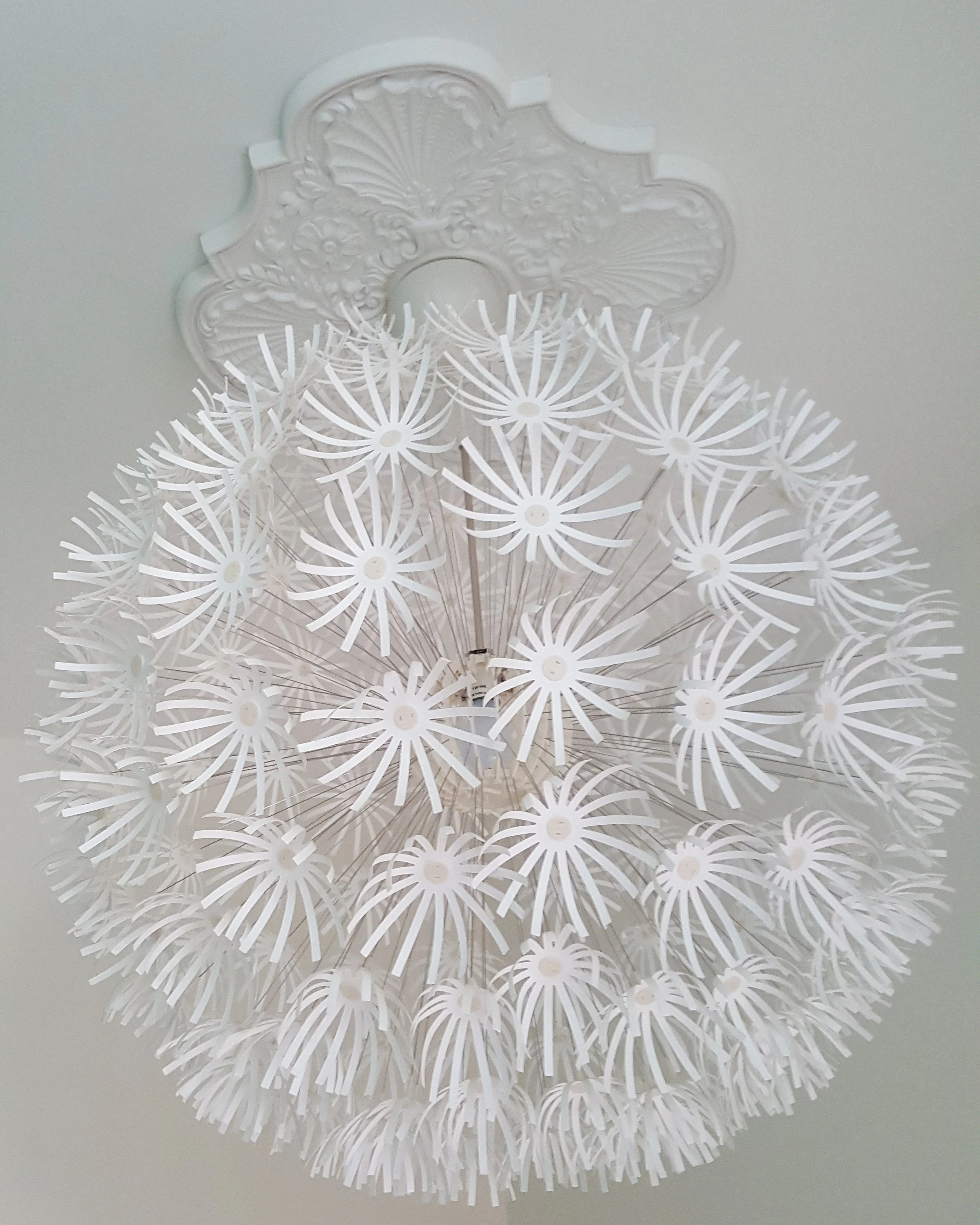 dandelion.jpg