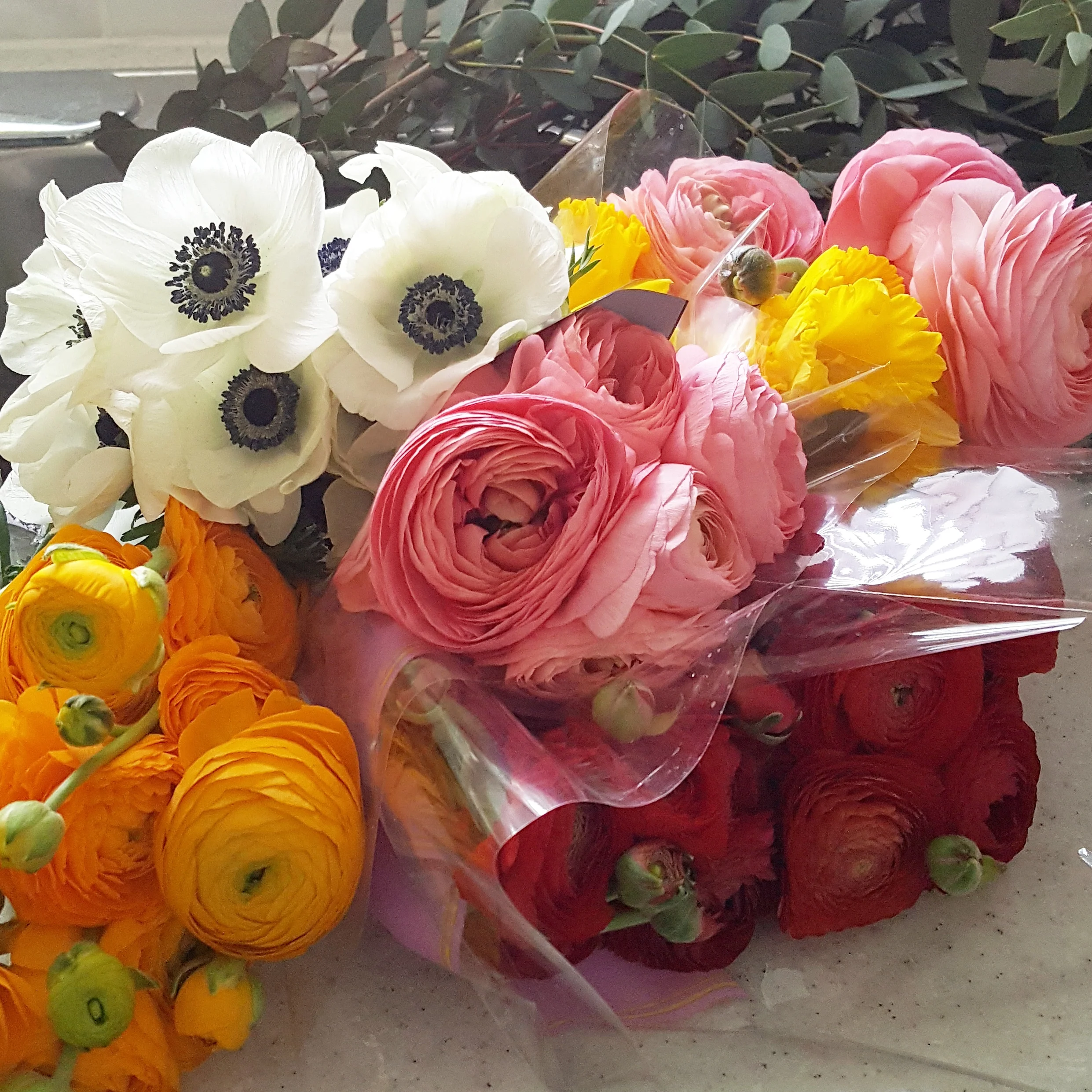 anemones & ranunculus from Mid Valley Gardens