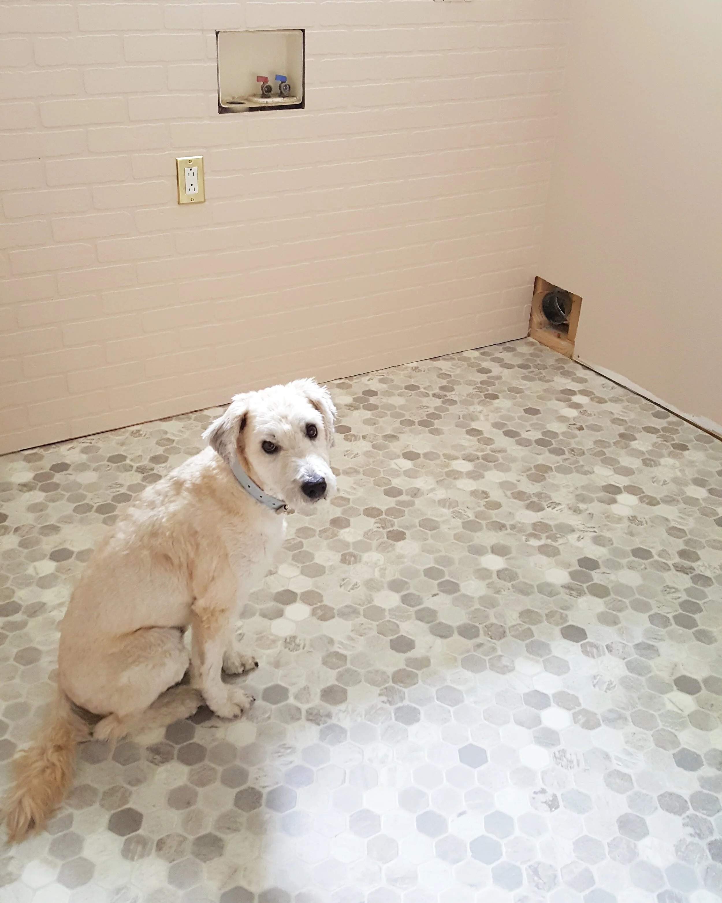 Spring 2020 One Room Challenge - Weeks 5 & 6: building code & Brick