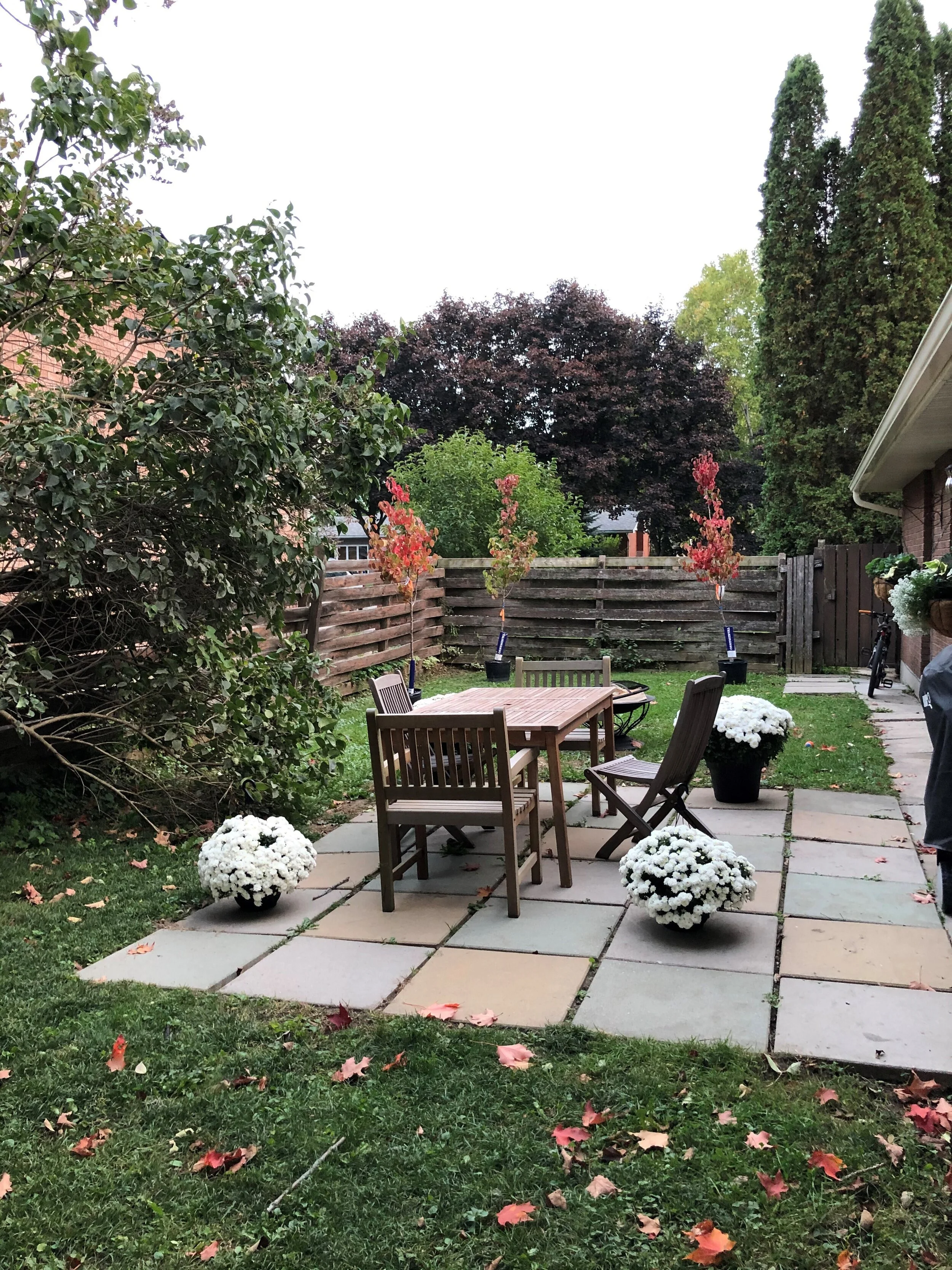 Fall 2020 One Room Challenge - Week 1: Grant's Backyard "Before"