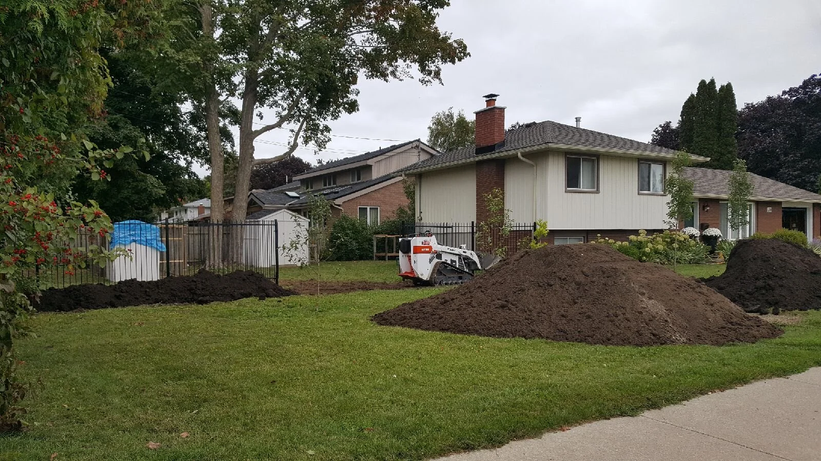 Fall 2021 One Room Challenge - Week 3: Side Yard Progress