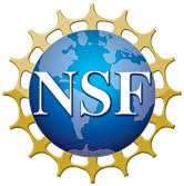 NSF logo.jpeg