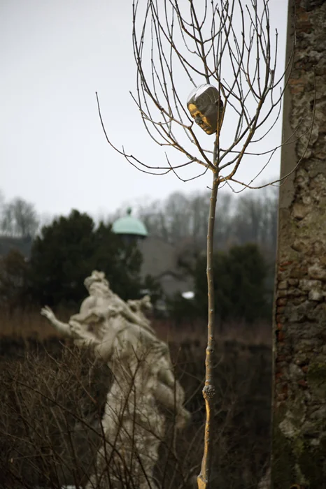 Salzburg02.jpg