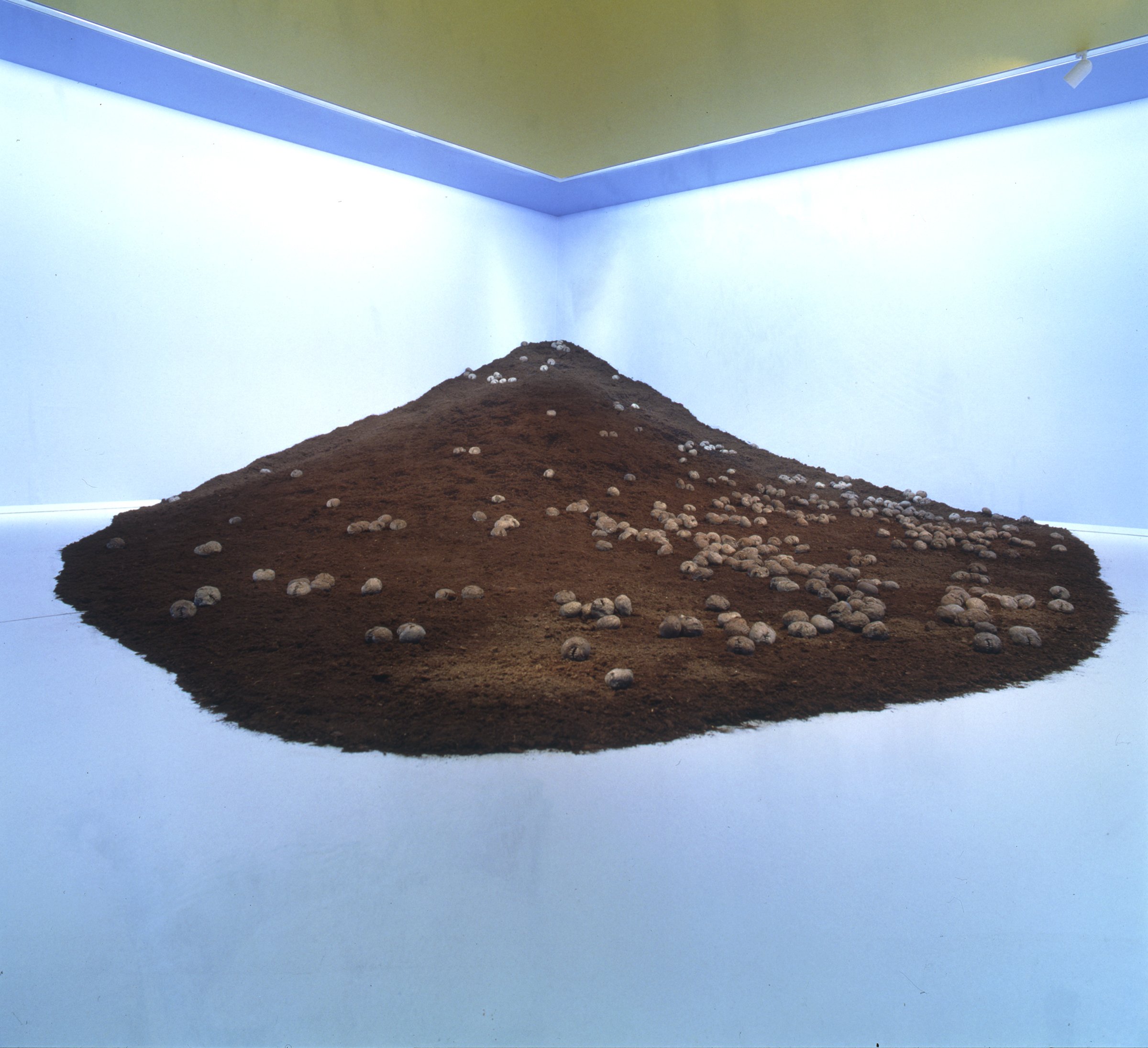 01_Pondick_Dirt_Head_Groniger_Museum_1988.jpg