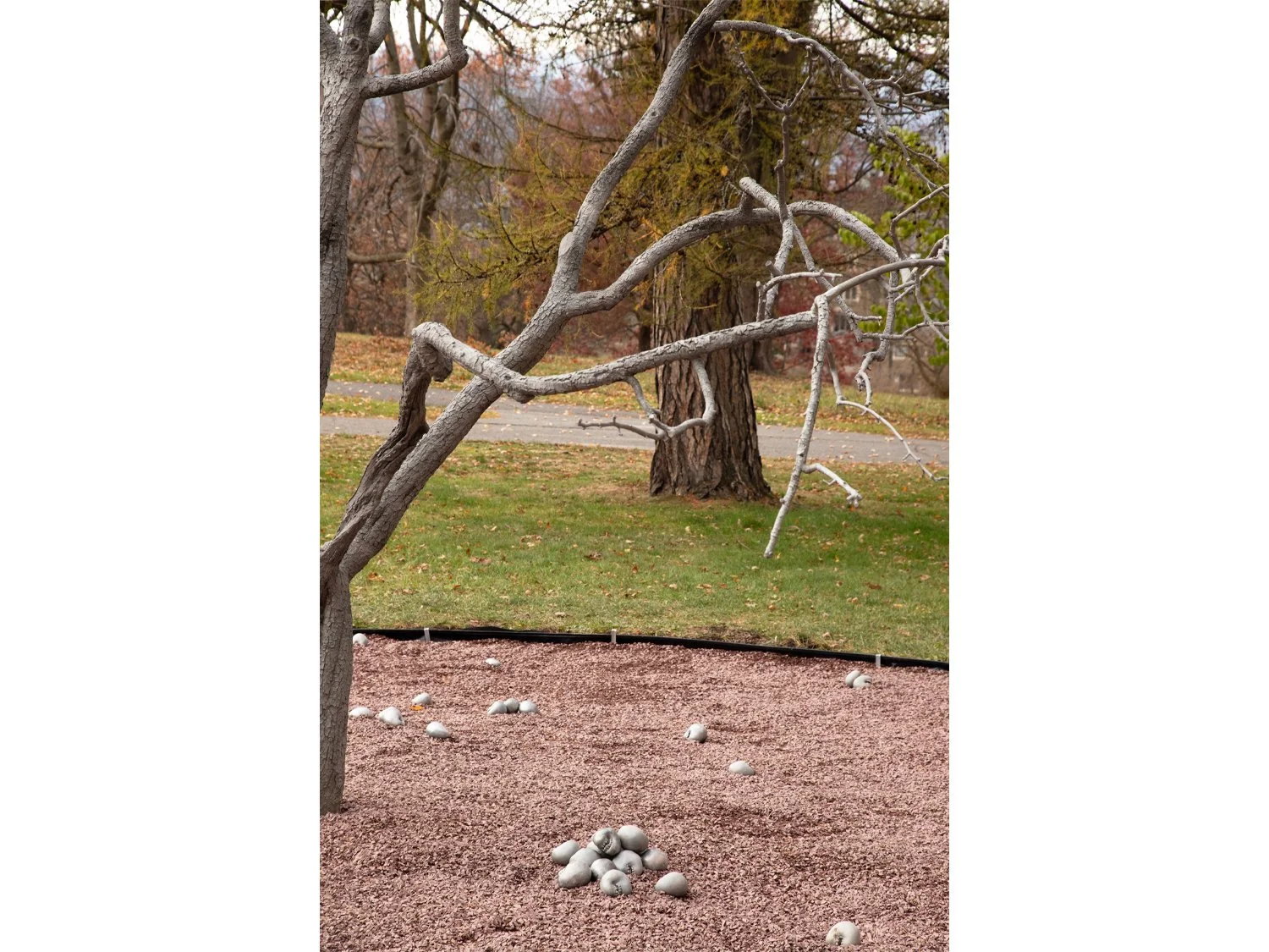 02_Pondick_Untitled Tree.jpg