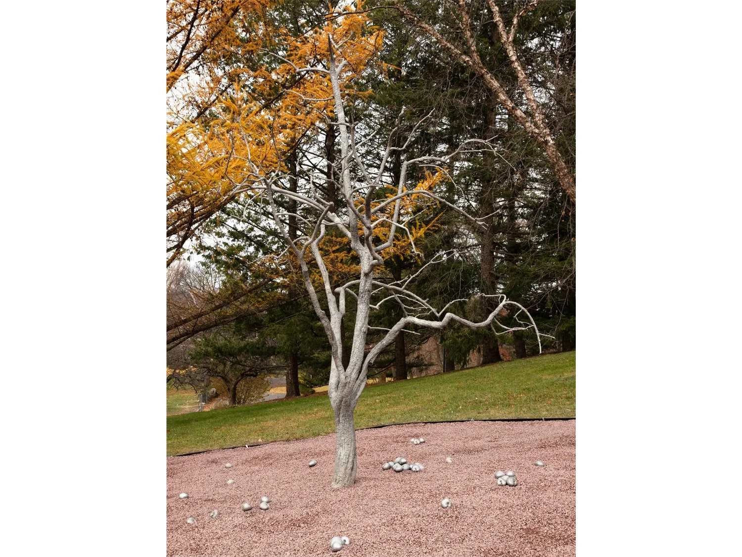 01_Pondick_Untitled Tree.jpg