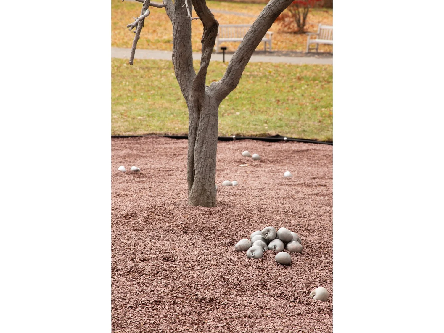 03_Pondick_Untitled Tree.jpg