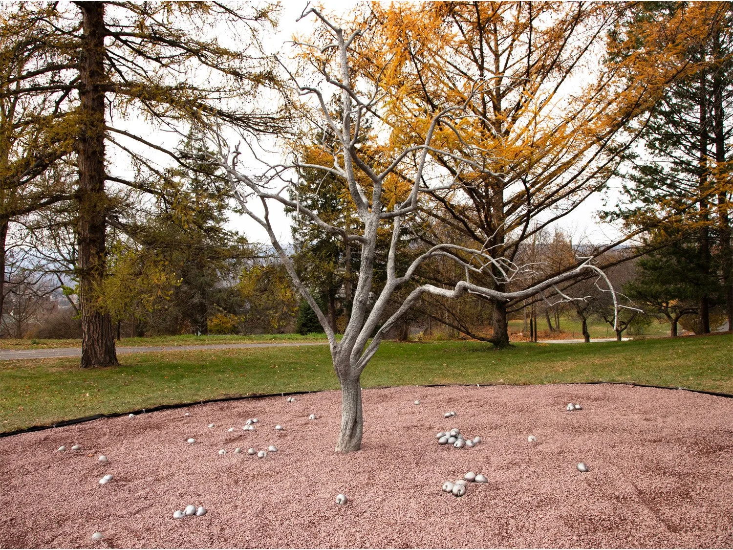 04_Pondick_Untitled Tree.jpg