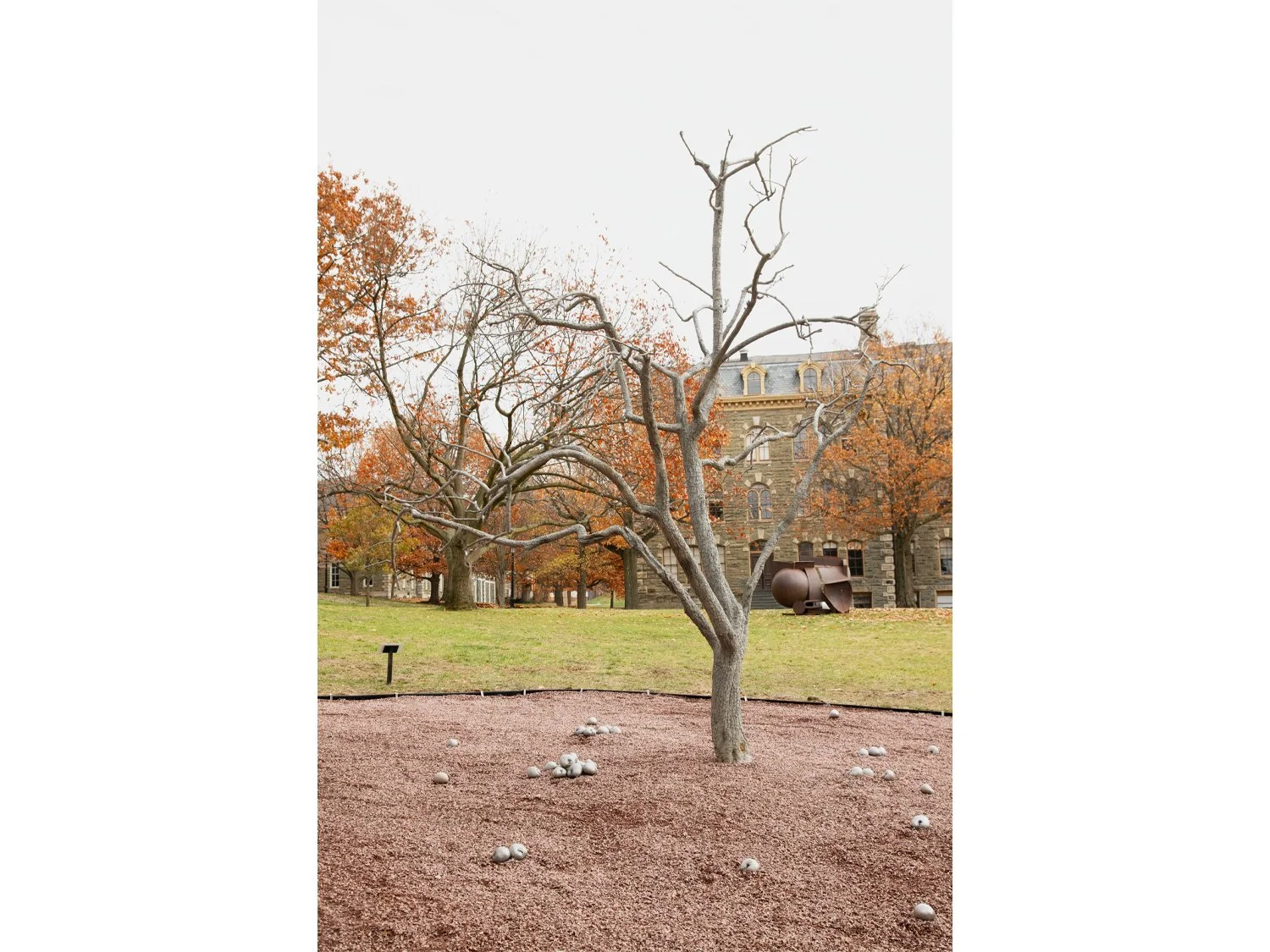 06_Pondick_Untitled Tree.jpg