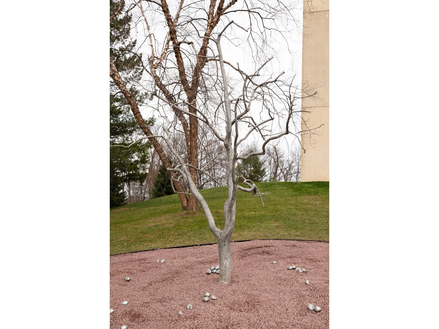 07_Pondick_Untitled Tree.jpg