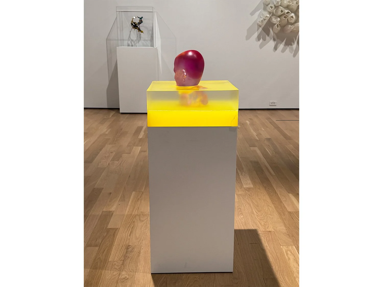 4. Magenta Swimming in Yellow (2015-17) installed at AWAW_The First 25 Years IMG_0239 2.jpg