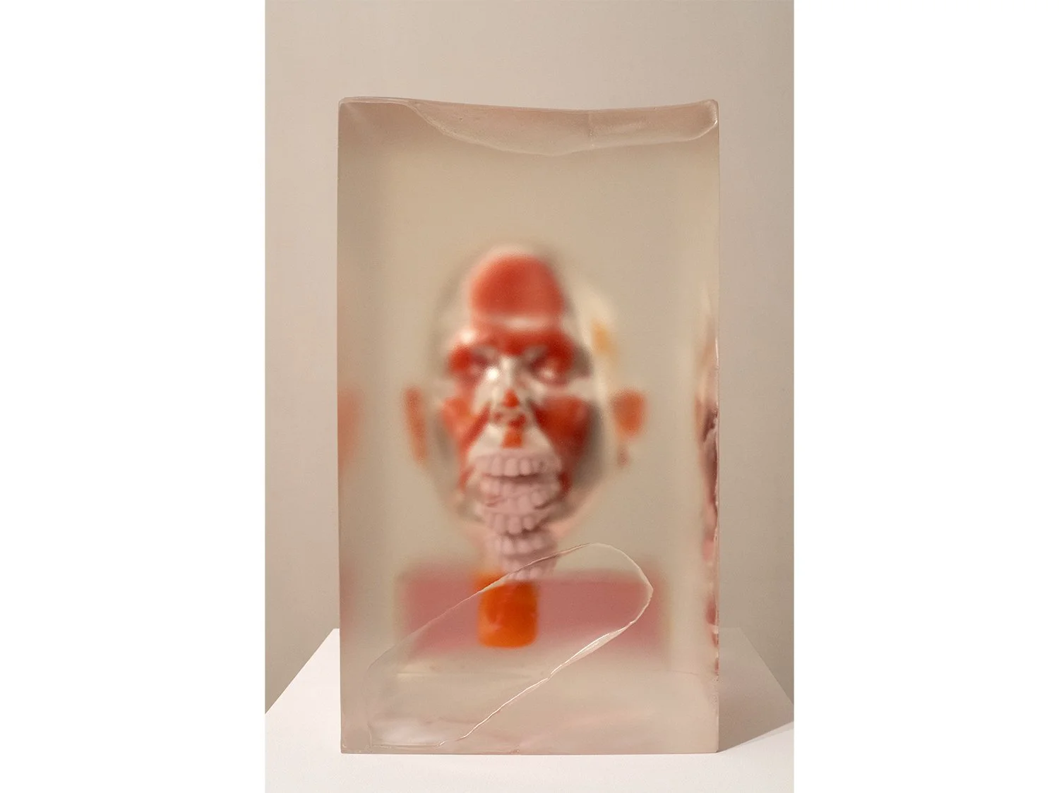3. Encased Orange with Pink Teeth (2019-23).jpg