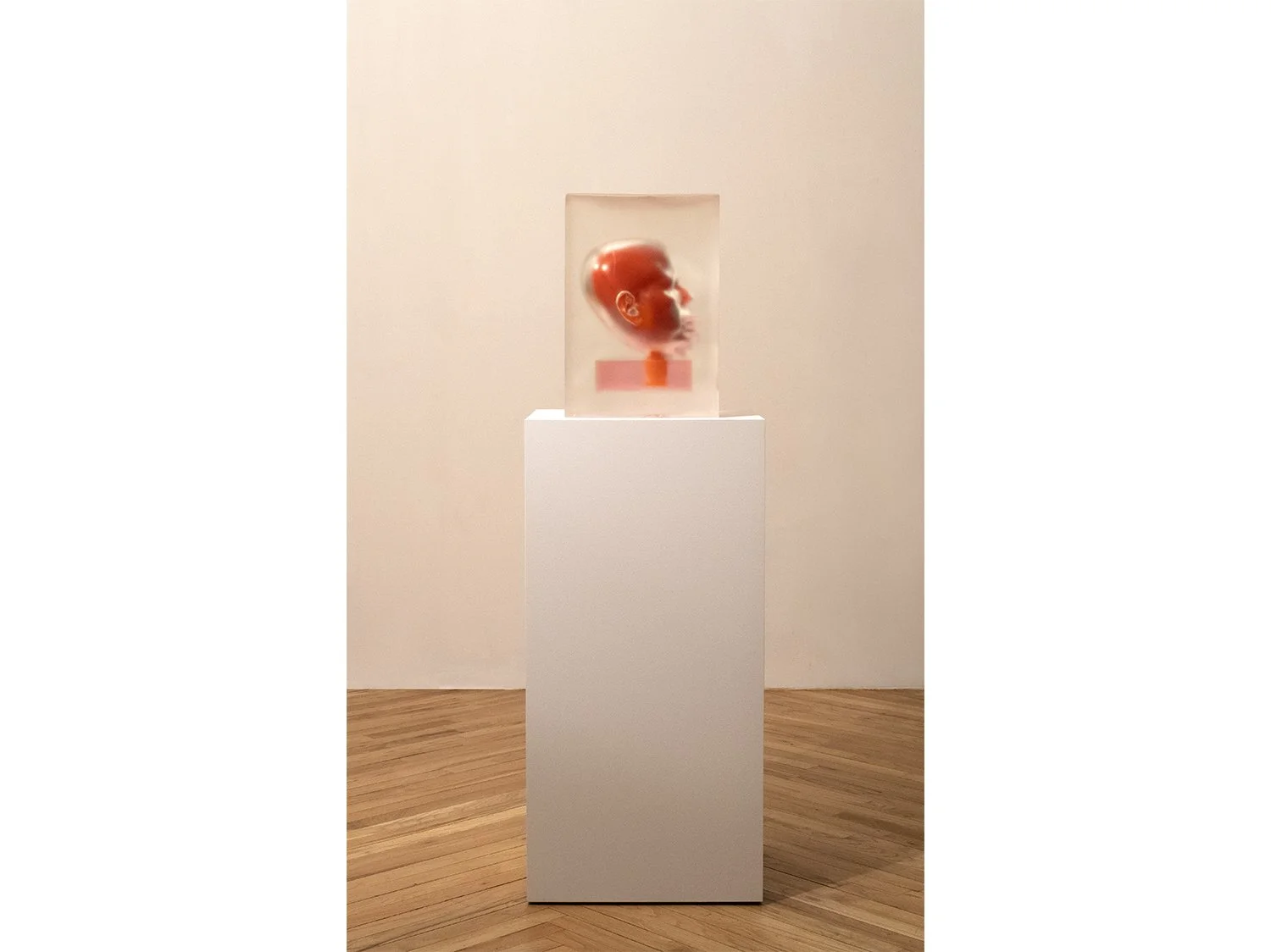 5. Encased Orange with Pink Teeth (2019-23).jpg