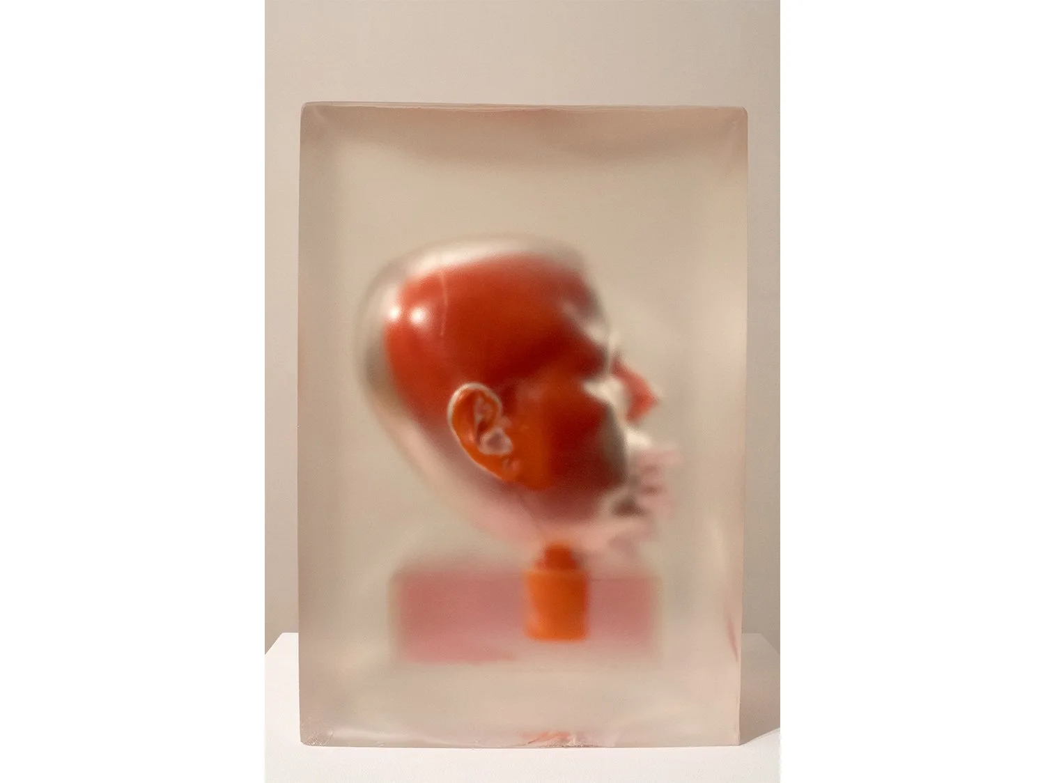 7. Encased Orange with Pink Teeth (2019-23).jpg
