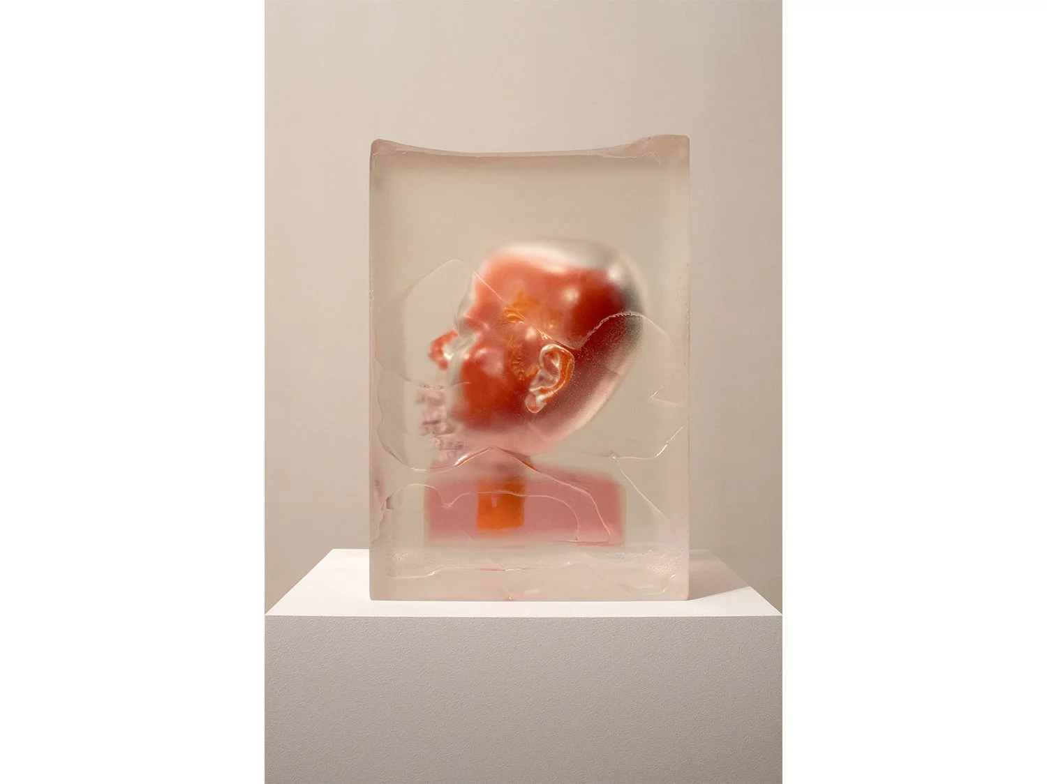 11. Encased Orange with Pink Teeth (2019-23).jpg