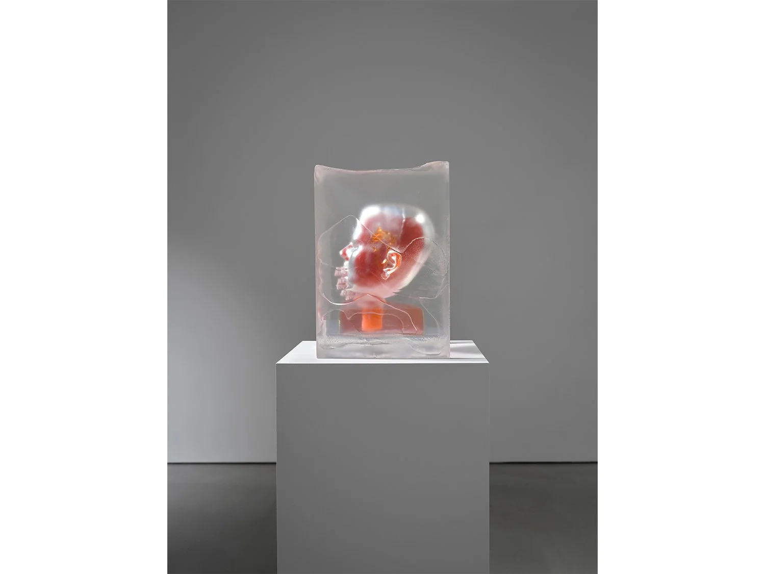 07_Rona Pondick_Bellmer Nauman Pondick Material Desire_Installation (LOW RES).jpg