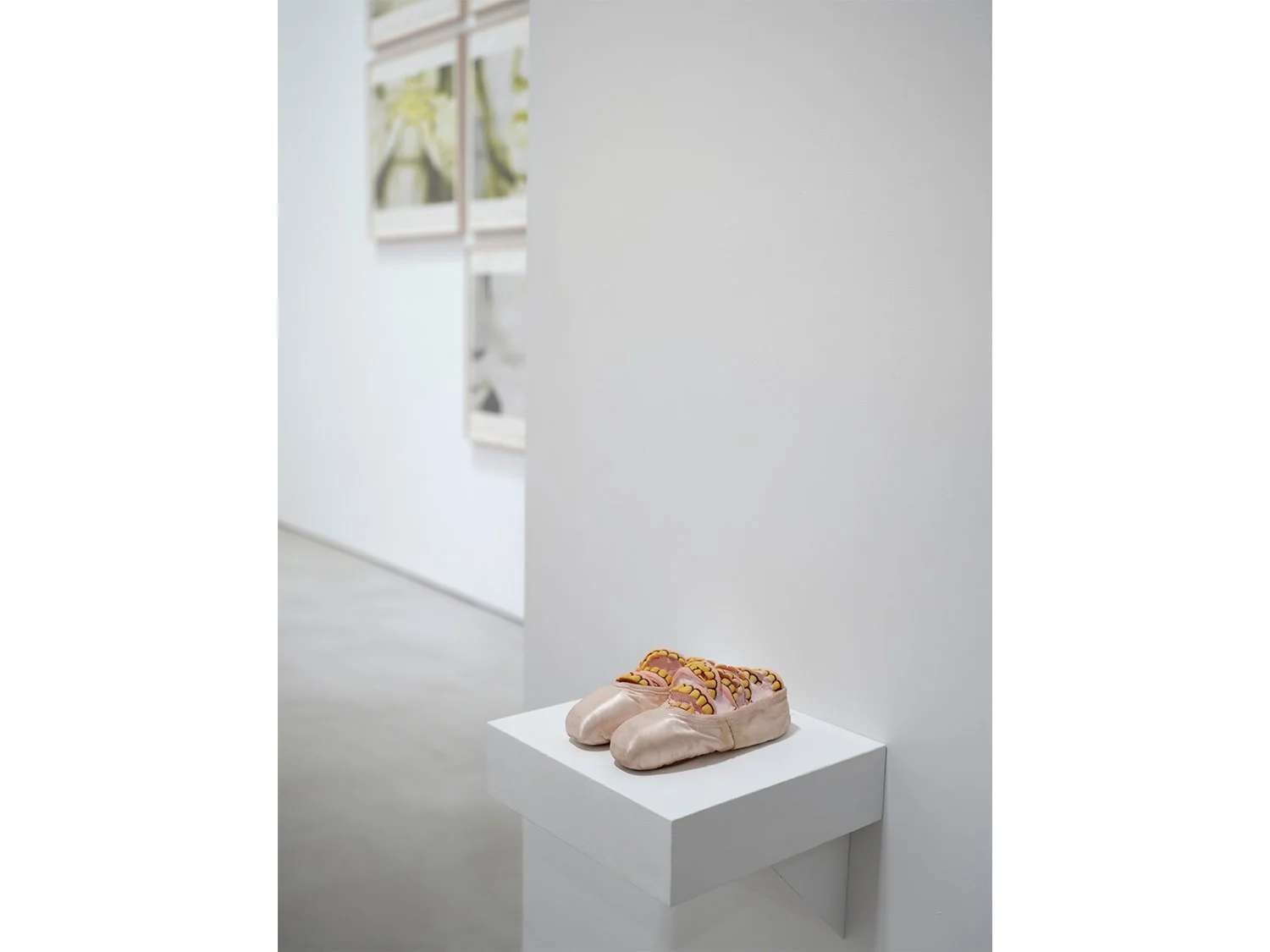 08_Rona Pondick_Bellmer Nauman Pondick Material Desire_Installation (LOW RES).jpg