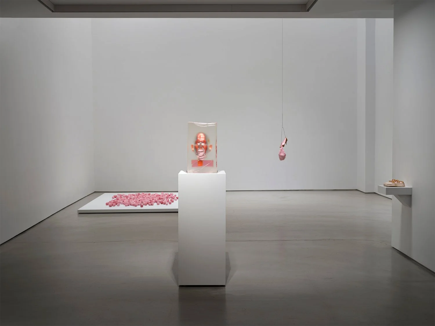 09_Rona Pondick_Bellmer Nauman Pondick Material Desire_Installation (LOW RES).jpg