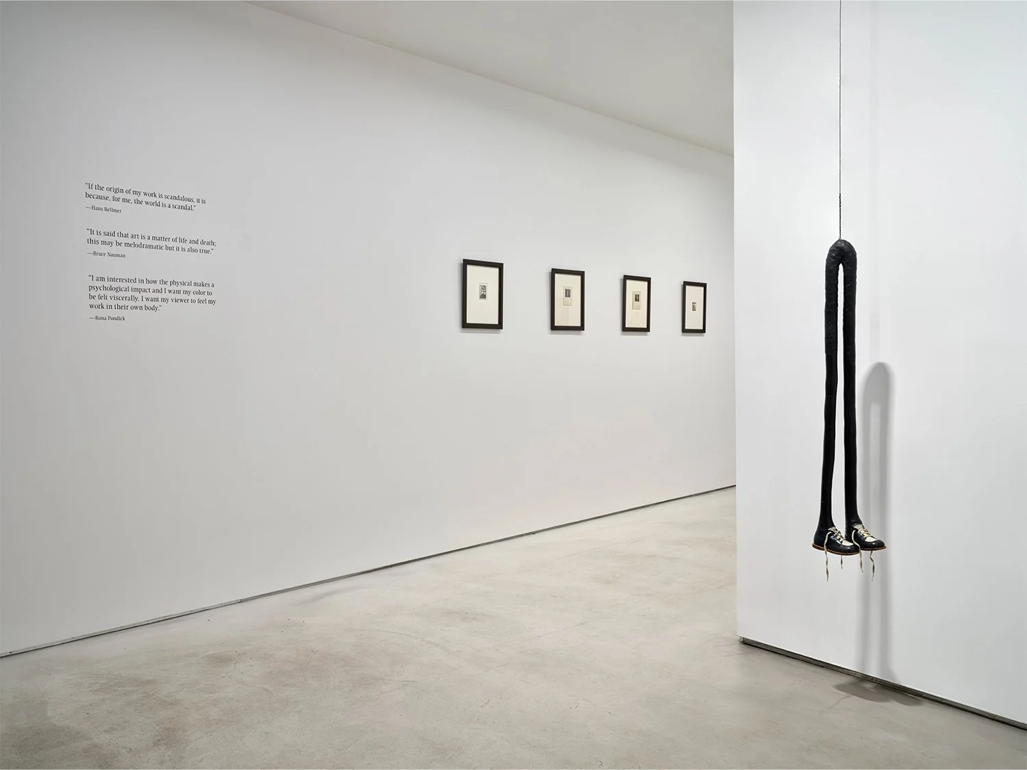 02_Rona Pondick_Bellmer Nauman Pondick Material Desire_Installation (MID RES).jpg