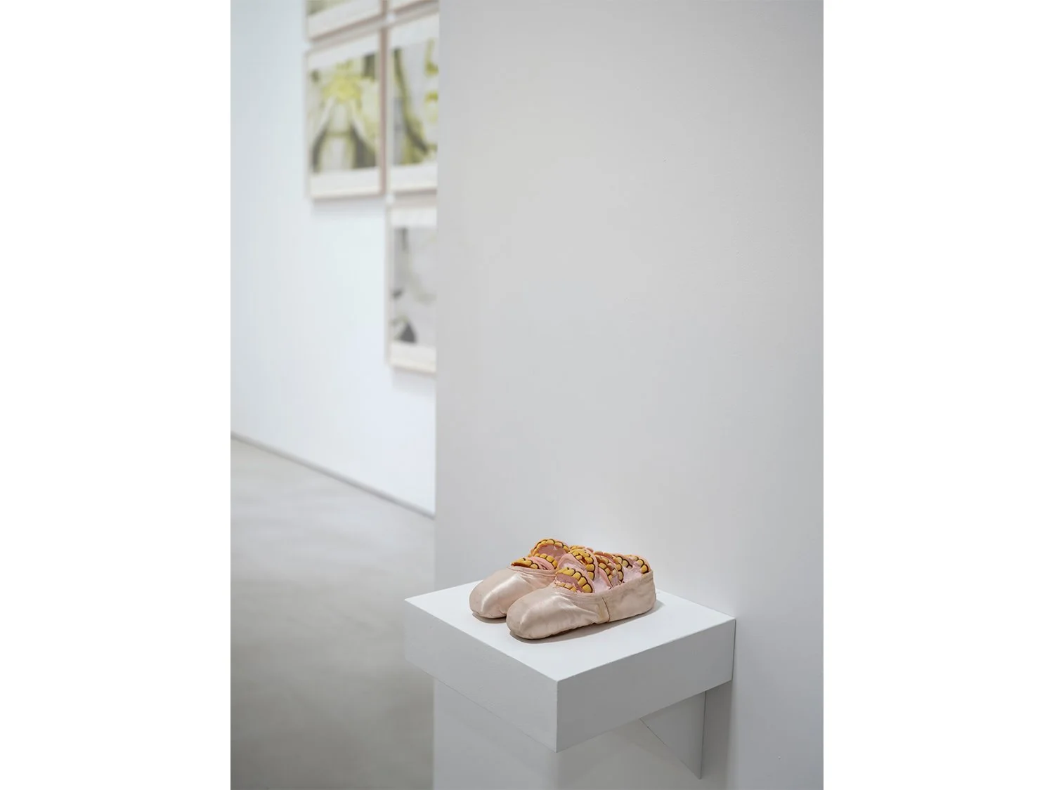 08_Rona Pondick_Bellmer Nauman Pondick Material Desire_Installation (MID RES).jpg