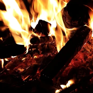 生豆評測 010 巴拿馬火石莊園日曬藝妓27號批次