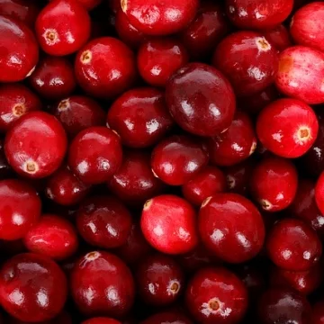 生豆評測 022 肯亞 水洗 康古努 AA Top