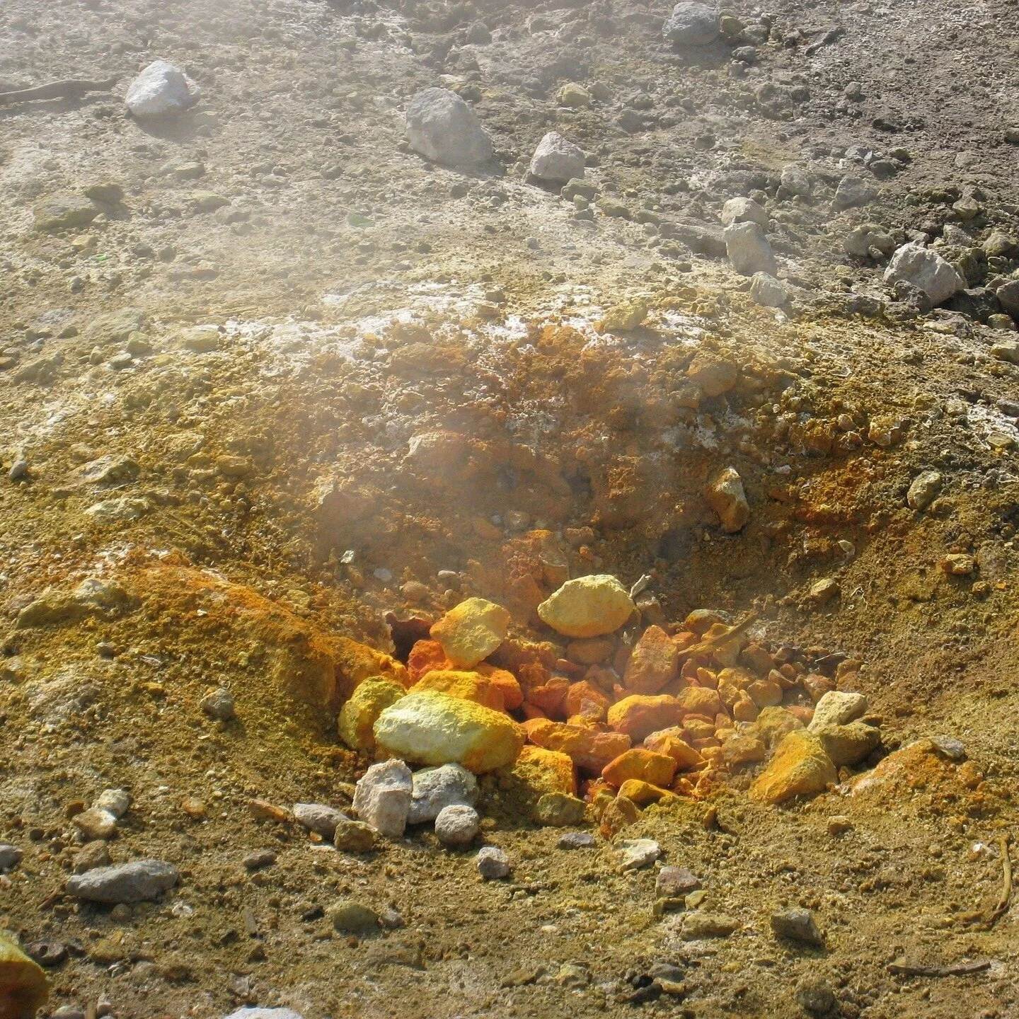 生豆評測 032 印尼 東爪哇 伊真火山 黑蜜處理