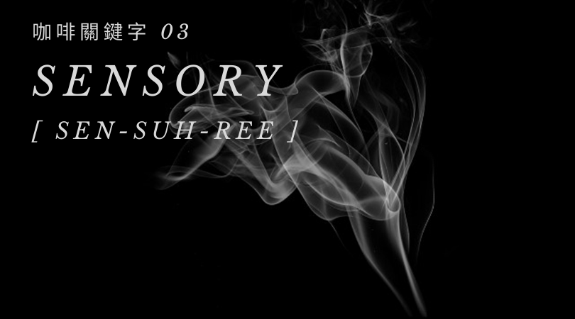 咖啡關鍵字 03：Sensory