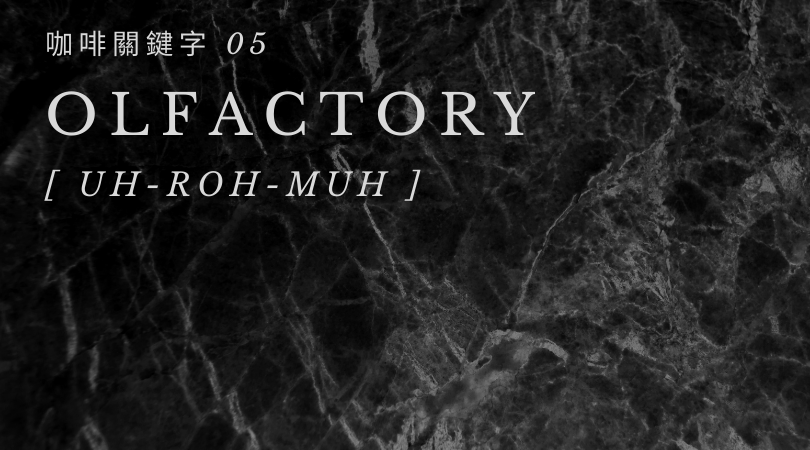 咖啡關鍵字 05：Olfactory
