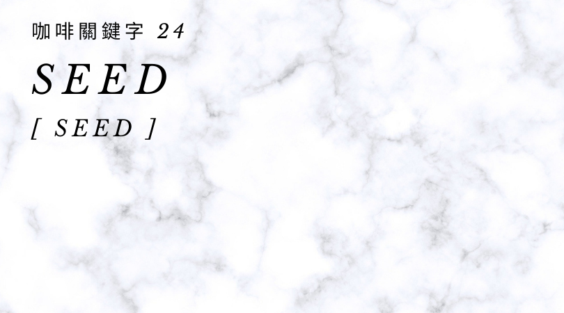 咖啡關鍵字 24：Seed 