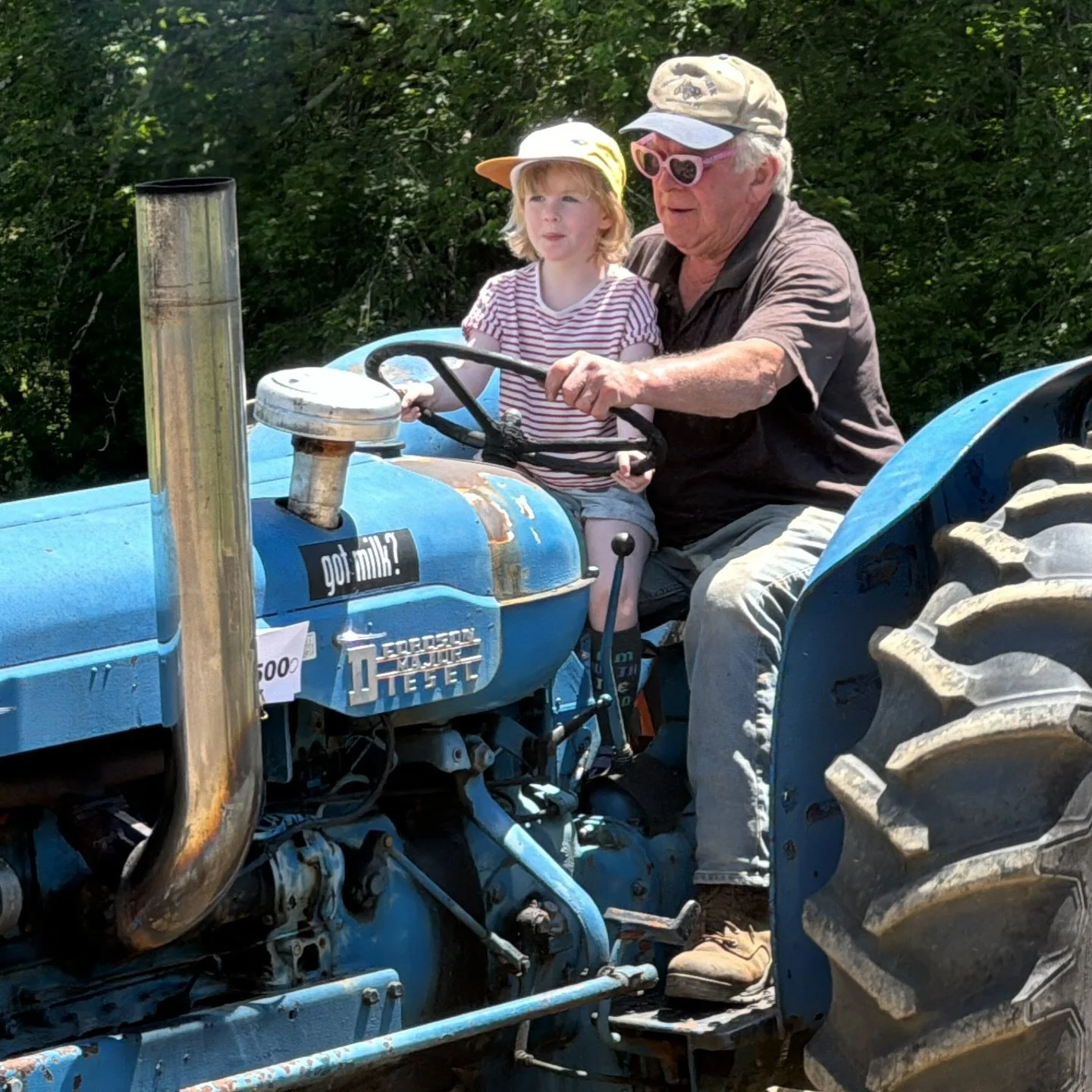 look at these old pals