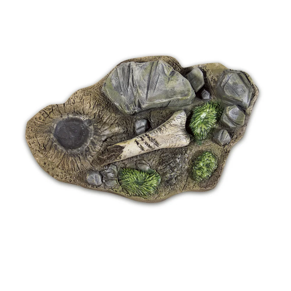 sqsp-neanderthal-top-product.jpg
