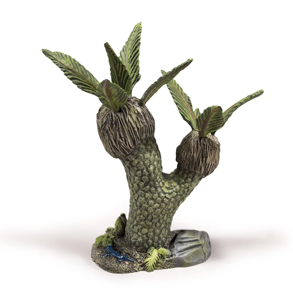 sqsp-mini2-cycad.jpg