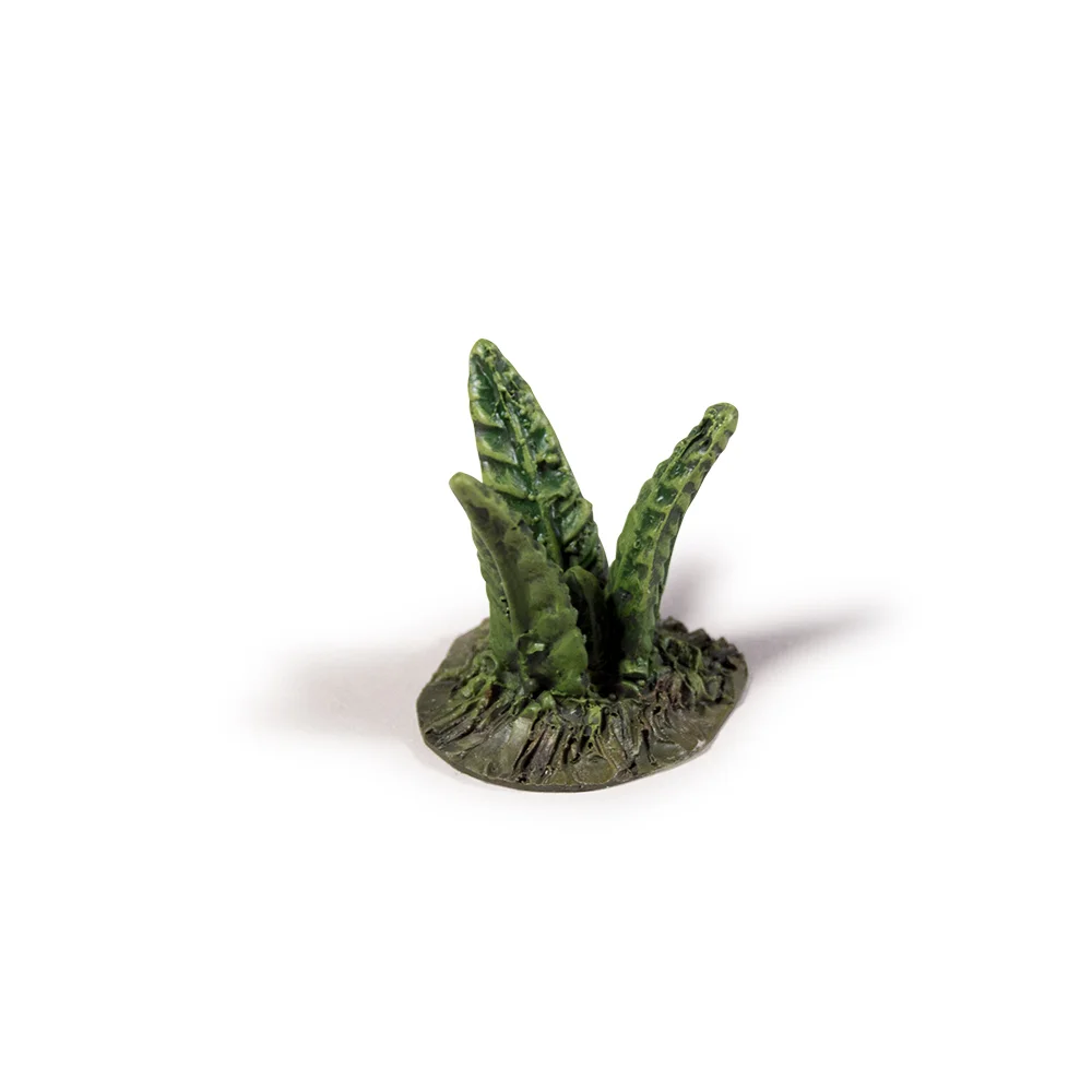 sqsp-mini2-fern.jpg