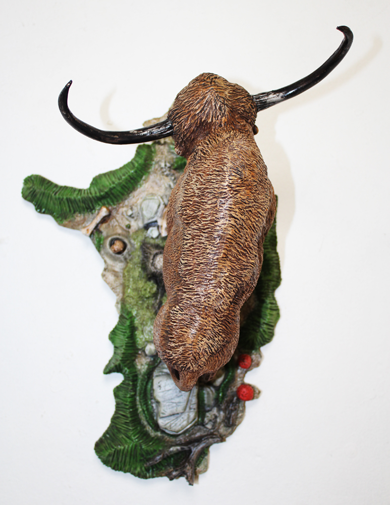 bison-top-view.jpg
