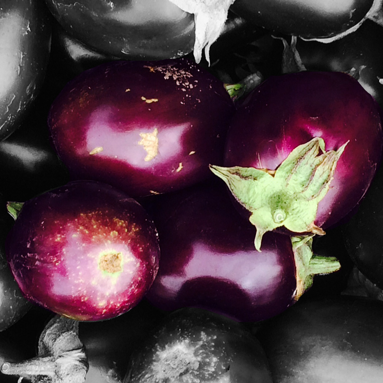 aubergine-site.jpg