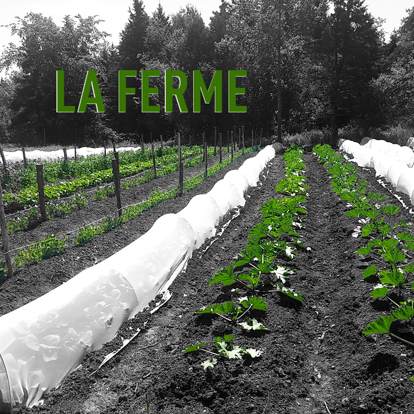 la-ferme.jpg